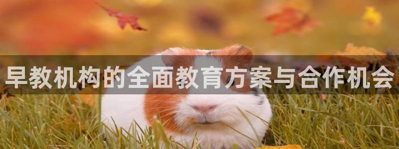 恒行娱乐蜗74ooo5指磁：早教机构的全面教育方案与合作机会