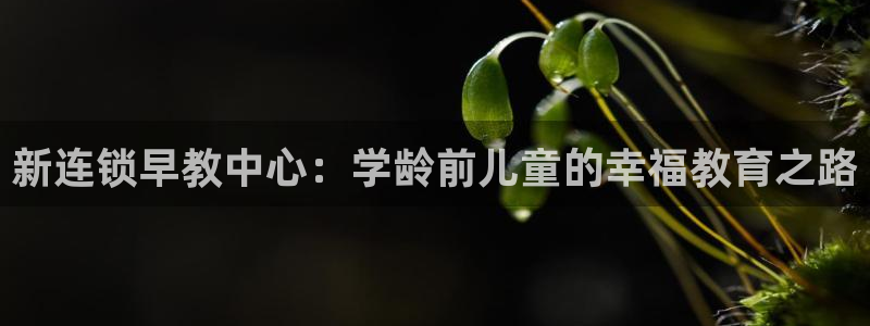 恒行娱乐婆蹬74ooo5盗：新连锁早教中心：学龄前儿童的幸福教育之路