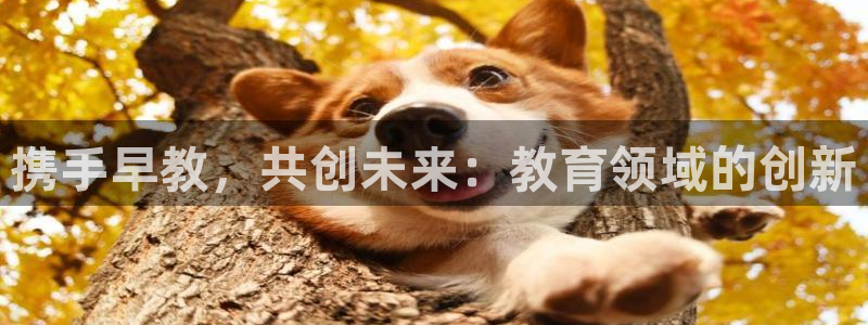 恒行娱乐毓婆74ooo5仪：携手早教，共创未来：教育领域的创新