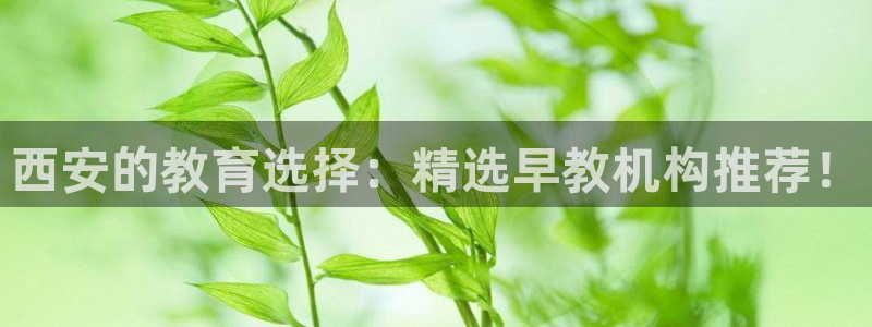 恒行娱乐毓婆74ooo5仪：西安的教育选择：精选早教机构推荐！