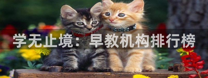 恒行3乃5O6917：学无止境：早教机构排行榜