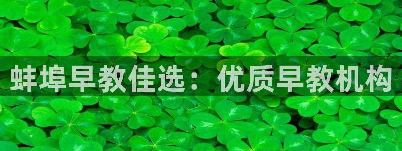 恒行娱乐陈74OOO5：蚌埠早教佳选：优质早教机构