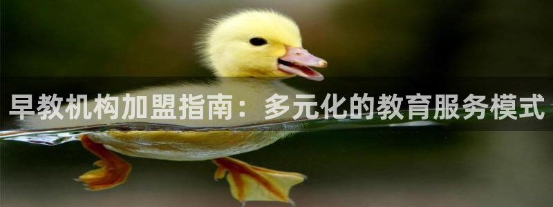 恒行娱乐鸟74ooo5判官：早教机构加盟指南：多元化的教育服务模式