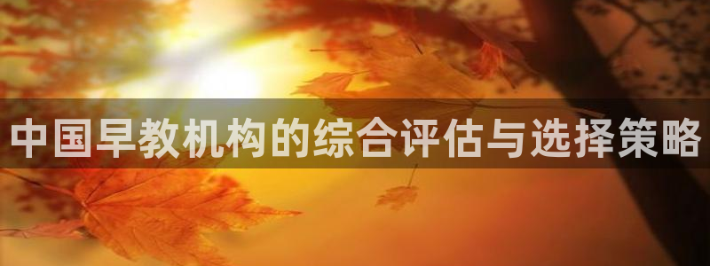 恒行2韩74OOO5：中国早教机构的综合评估与选择策略