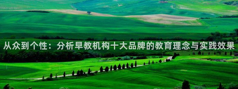 恒行主管6ll5l指定：从众到个性：分析早教机构十大品牌的教育理念与实践效果