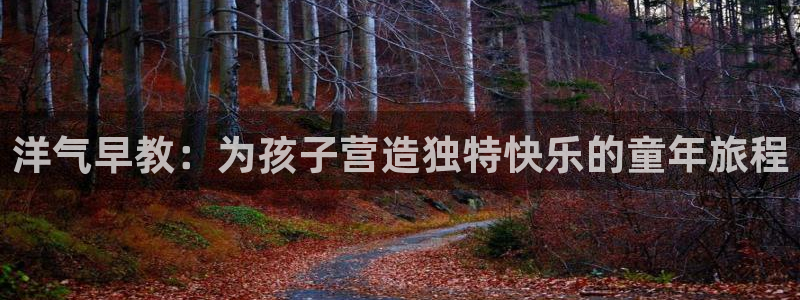 恒行2杨74OOO5：洋气早教：为孩子营造独特快乐的童年旅程