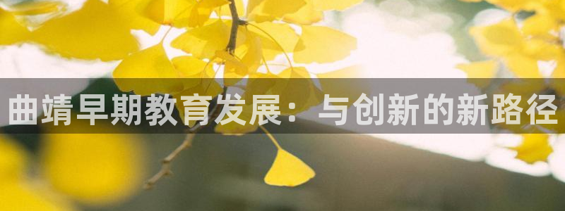 恒行2地74OOO5：曲靖早期教育发展：与创新的新路径