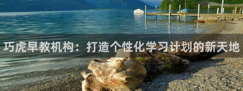 恒行开户娱乐6ll5l特惠：巧虎早教机构：打造个性化学习计划的新天地