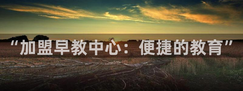 恒行娱乐登录5ll533主管一流：“加盟早教中心：便捷的教育”