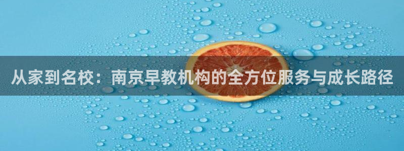恒行2那74OO5：从家到名校：南京早教机构的全方位服务与成长路径