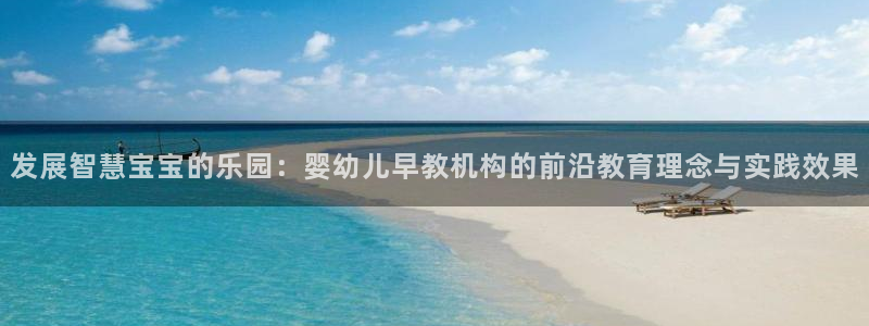 恒行娱乐冯74OOO5：发展智慧宝宝的乐园：婴幼儿早教机构的前沿教育理念与实践效