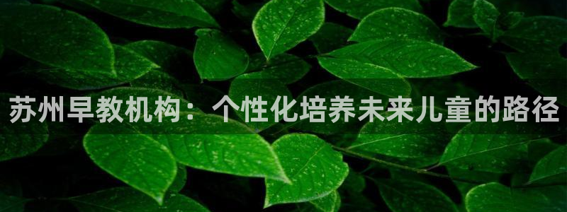 恒行2韩74OOO5：苏州早教机构：个性化培养未来儿童的路径