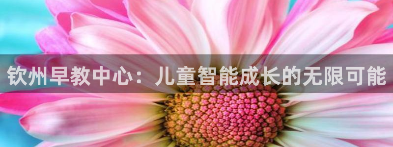 恒行娱乐郑74OOO5：钦州早教中心：儿童智能成长的无限可能