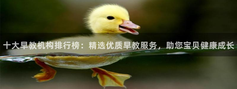 恒行主管首问6ll5l：十大早教机构排行榜：精选优质早教服务，助您宝贝健康成长