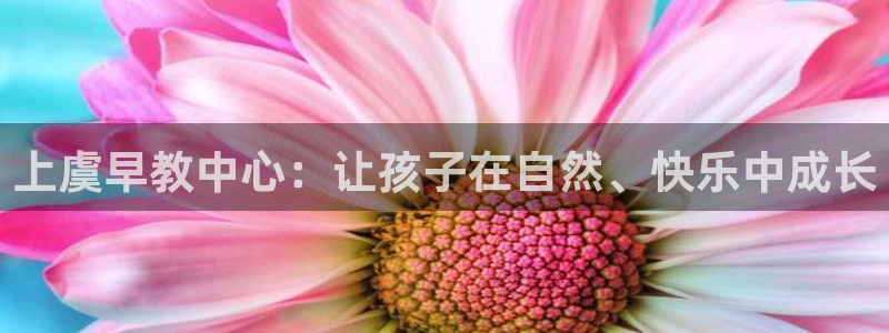 恒行招商老大诚挚 6ll5l：上虞早教中心：让孩子在自然、快乐中成长