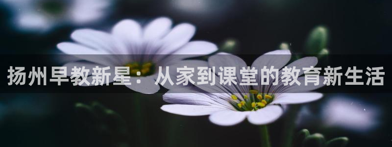 恒行娱乐招收点赞5ll533主管：扬州早教新星：从家到课堂的教育新生活