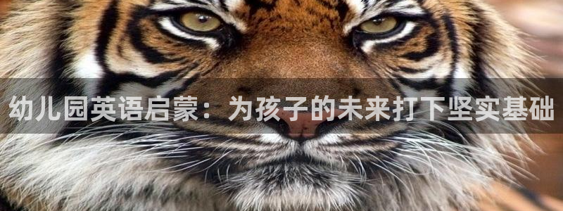 恒行娱乐陈74OOO5：幼儿园英语启蒙：为孩子的未来打下坚实基础
