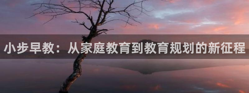 恒行娱乐卫74OOO5：小步早教：从家庭教育到教育规划的新征程