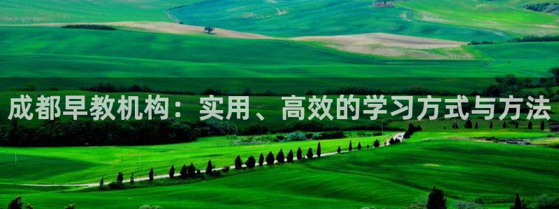 恒行注册全2O5O5O：成都早教机构：实用、高效的学习方式与方法