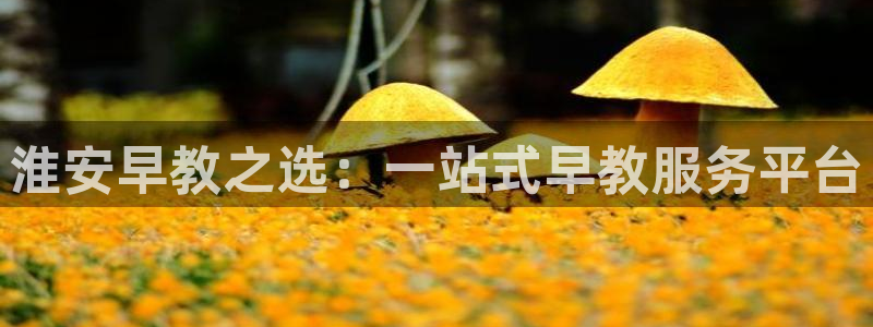 恒行2乃5O6917：淮安早教之选：一站式早教服务平台