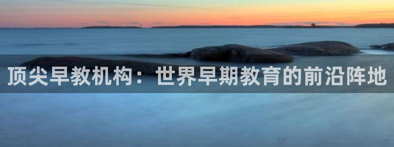 恒行2王74OOO5：顶尖早教机构：世界早期教育的前沿阵地