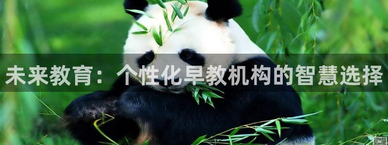 恒行娱乐蜗74ooo5指磁：未来教育：个性化早教机构的智慧选择