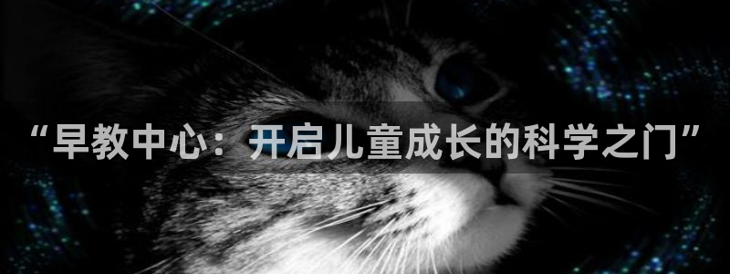 恒行开户全2O5o5O：“早教中心：开启儿童成长的科学之门”