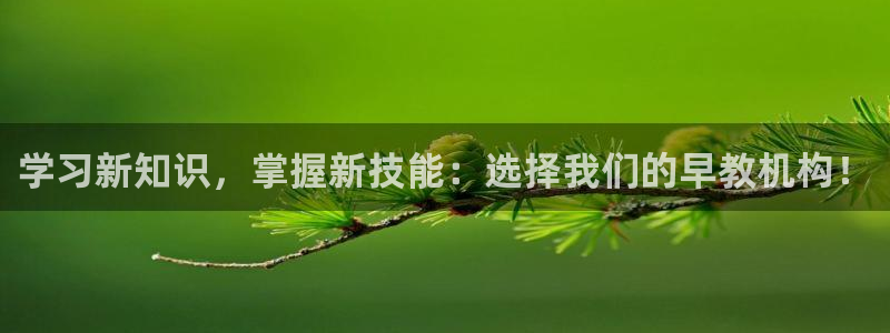 恒行2沈74OOO5：学习新知识，掌握新技能：选择我们的早教机构！