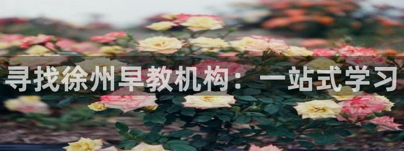 恒行招商老大诚挚 6ll5l：寻找徐州早教机构：一站式学习