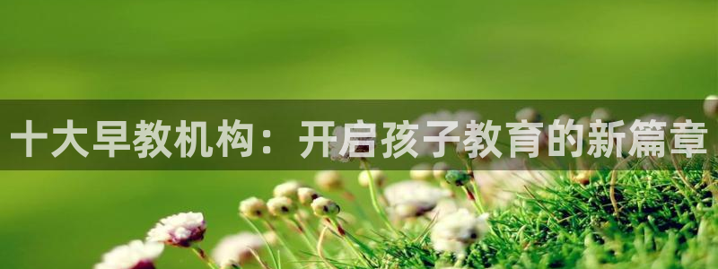 恒行2朱74OOO5：十大早教机构：开启孩子教育的新篇章