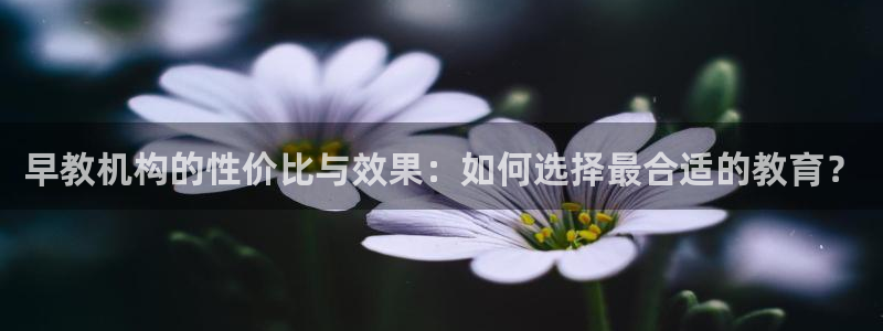 恒行2那74OO5：早教机构的性价比与效果：如何选择最合适的教育？