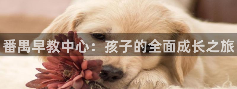 恒行娱乐陈74OOO5：番禺早教中心：孩子的全面成长之旅