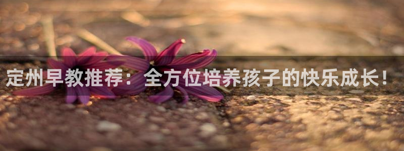 恒行娱乐蜗74ooo5指磁：定州早教推荐：全方位培养孩子的快乐成长！