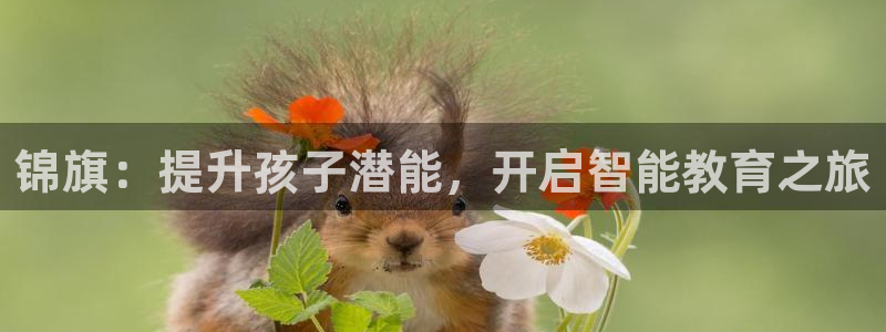 恒行2地74OOO5：锦旗：提升孩子潜能，开启智能教育之旅