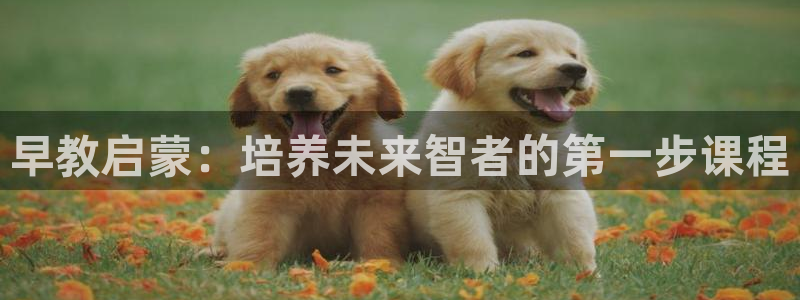 恒行2沈74OOO5：早教启蒙：培养未来智者的第一步课程