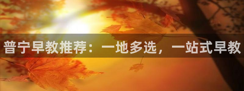 恒行2陈74OOO5：普宁早教推荐：一地多选，一站式早教