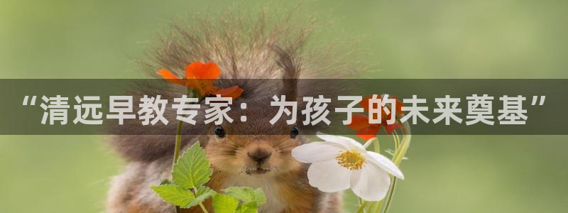 恒行娱乐寻问74 5：“清远早教专家：为孩子的未来奠基”