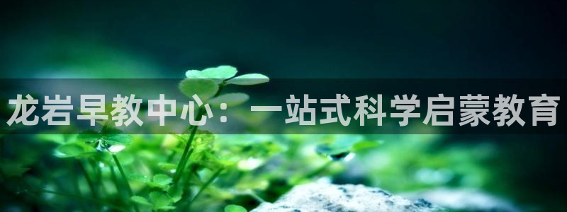 恒行主管总代6ll5l周至：龙岩早教中心：一站式科学启蒙教育