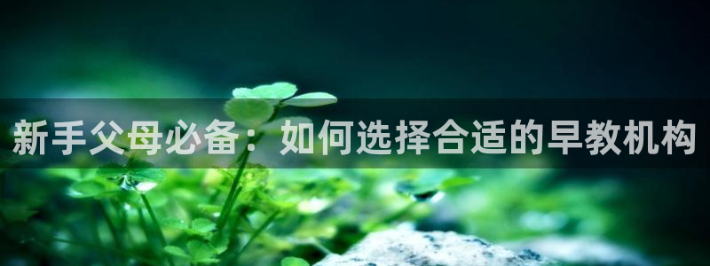 恒行2那74OO5：新手父母必备：如何选择合适的早教机构