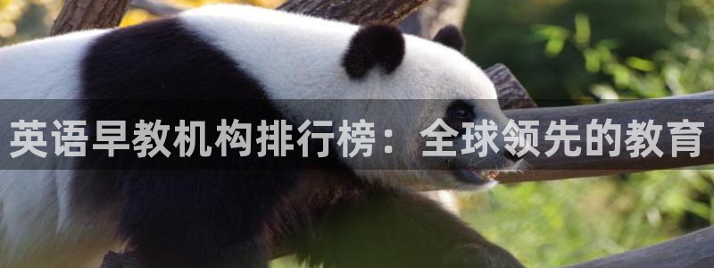 恒行2周74OOO5:英语早教机构排行榜:全球领先的教育