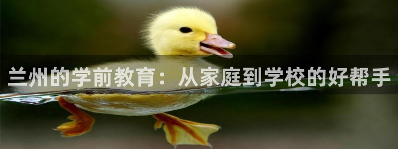 恒行登录就搜6ll5l:兰州的学前教育:从家庭到学校的好帮手