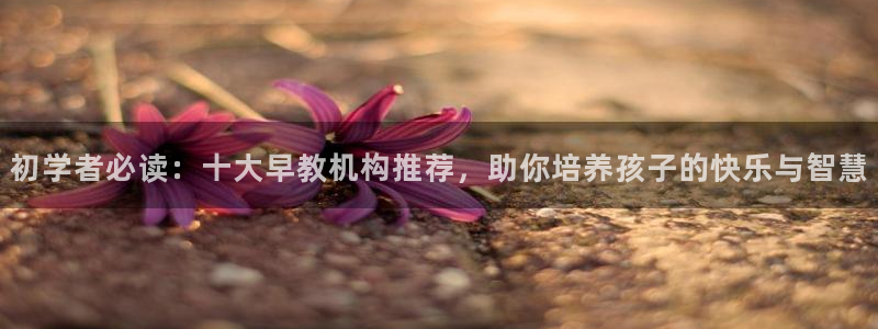 恒行彩票亏5千：初学者必读：十大早教机构推荐，助你培养孩子的快乐与智慧