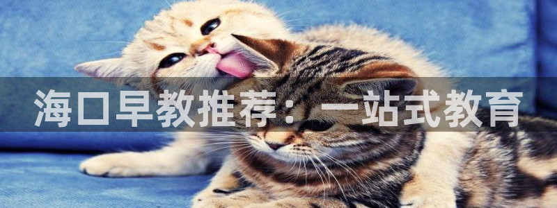 恒行2下74OOO5：海口早教推荐：一站式教育