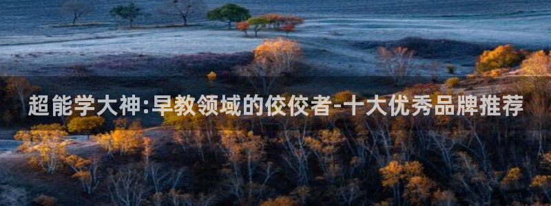 恒行娱乐周74OOO5:超能学大神:早教领域的佼佼者-十大优秀品牌推荐