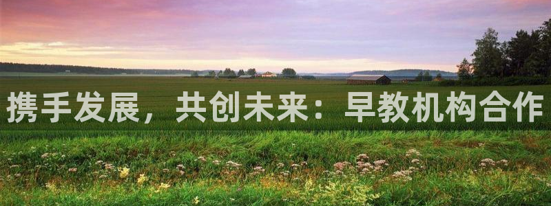 恒行娱乐吕74OOO5：携手发展，共创未来：早教机构合作