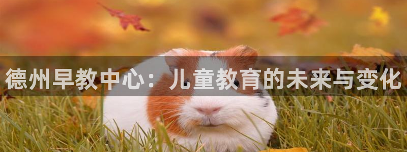 恒行2杨74OOO5:德州早教中心:儿童教育的未来与变化