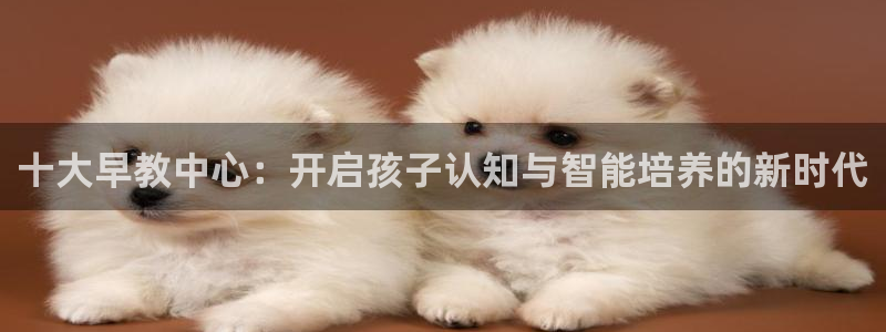 恒行注册招收6ll5l指定:十大早教中心:开启孩子认知与智能培养的新时代