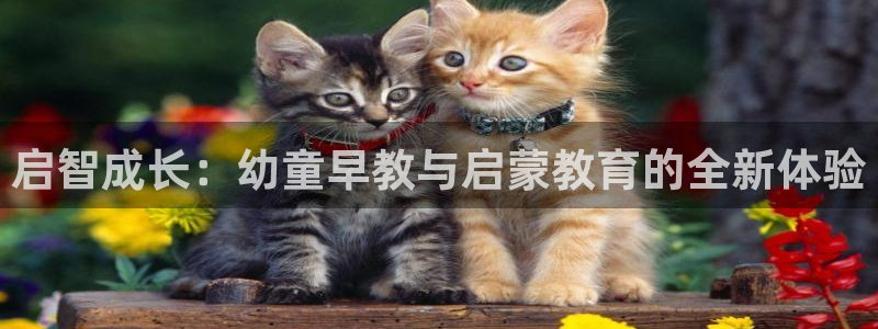 恒行娱乐蒋74OOO5:启智成长:幼童早教与启蒙教育的全新体验