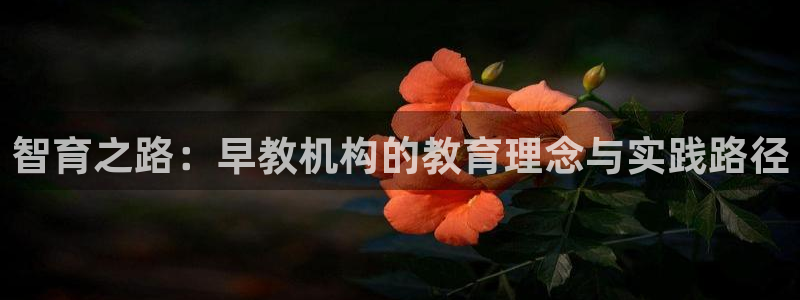 恒行娱乐毓婆74ooo5仪:智育之路:早教机构的教育理念与实践路径