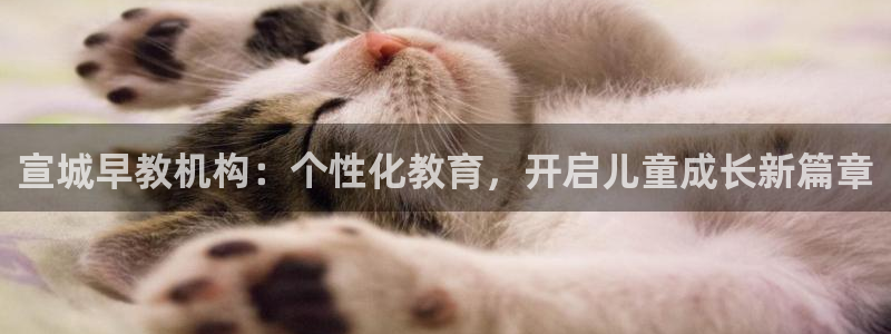 恒行娱乐景74ooo5诿抢:宣城早教机构:个性化教育,开启儿童成长新篇章